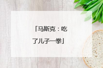 马斯克：吃了儿子一拳